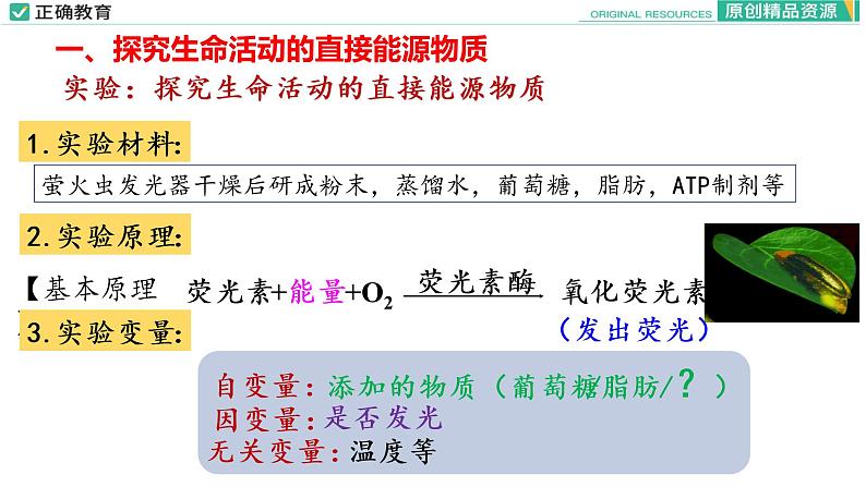 5.2 细胞的能量“货币”ATP课件PPT05