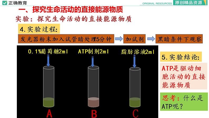 5.2 细胞的能量“货币”ATP课件PPT07