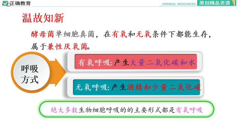 5.3 细胞呼吸的原理和应用（第二课时）课件PPT03