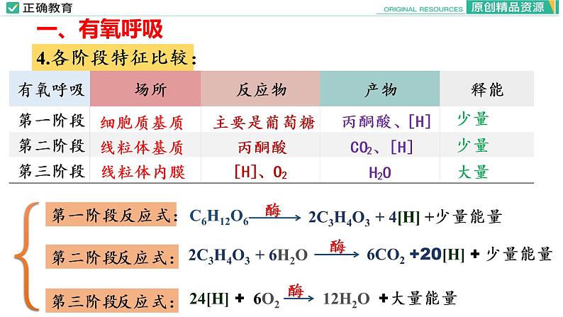 5.3 细胞呼吸的原理和应用（第二课时）课件PPT08