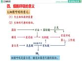 5.3 细胞呼吸的原理和应用（第三课时）课件PPT