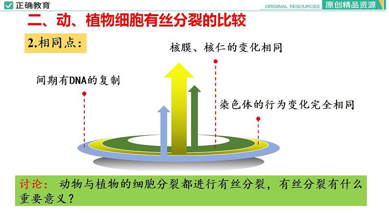 6.1 细胞的增殖（第二课时）课件PPT08