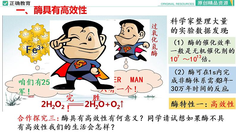 5.1 降低化学反应活化能的酶（第二课时）课件PPT05