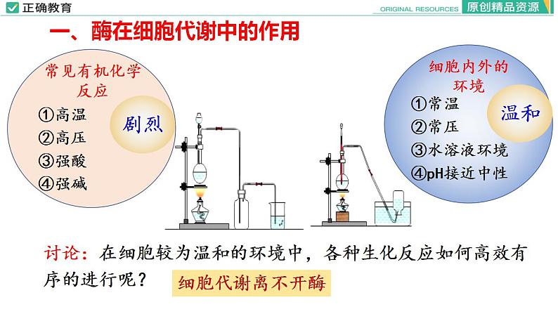 5.1 降低化学反应活化能的酶（第一课时）课件PPT05