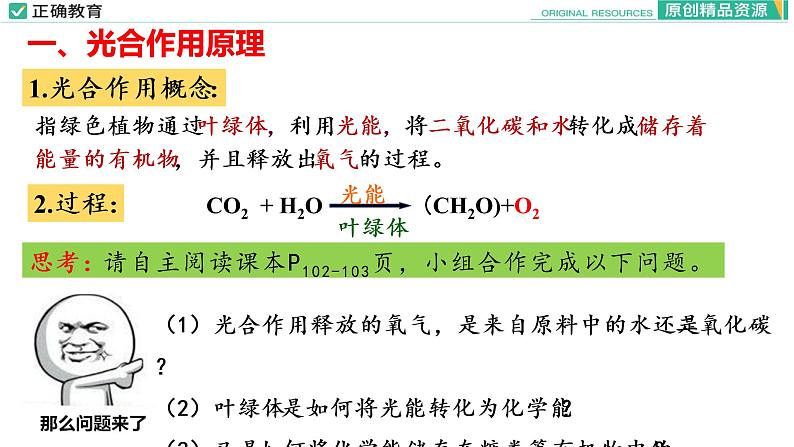 5.4 光合作用与能量转化（第二课时）课件PPT04