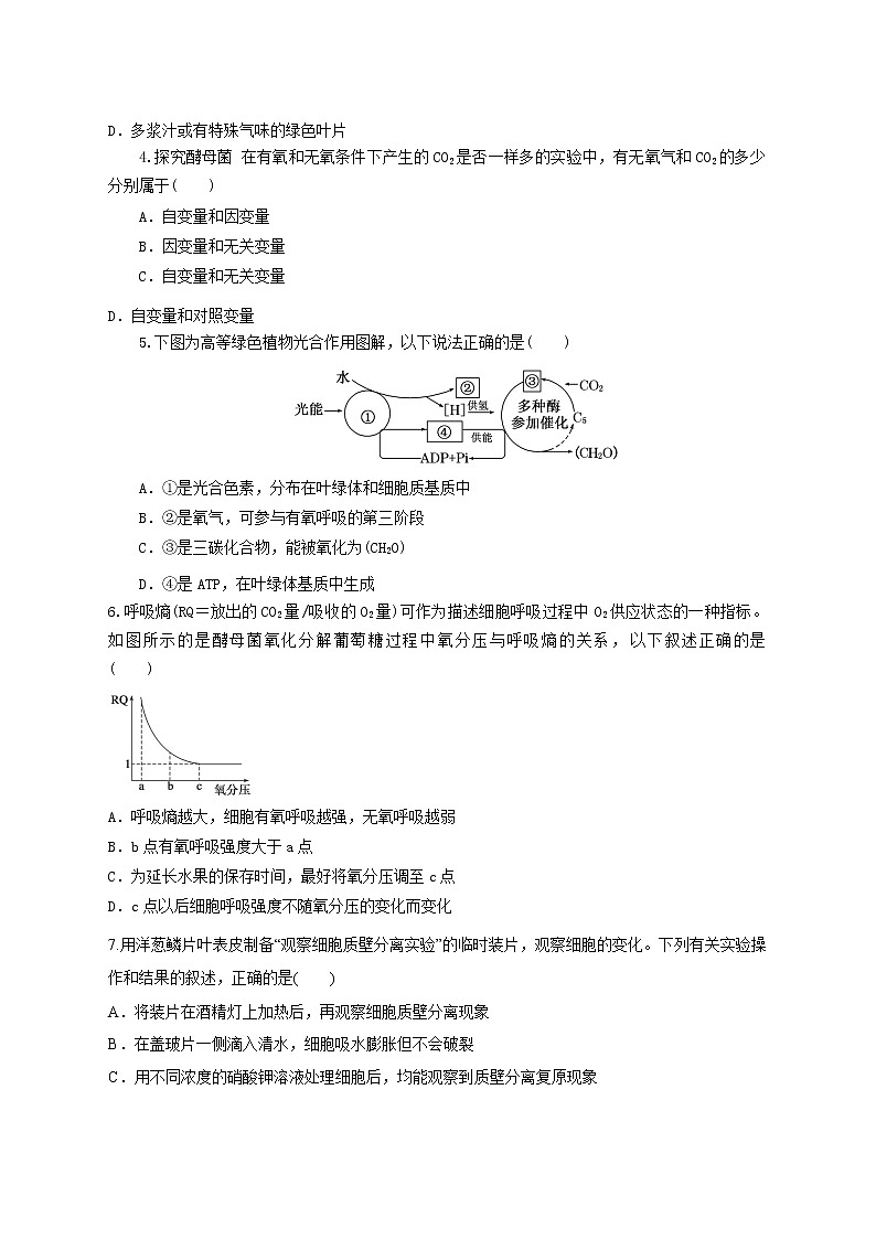 高中生物二轮复习专题练习29：细胞的代谢第2页