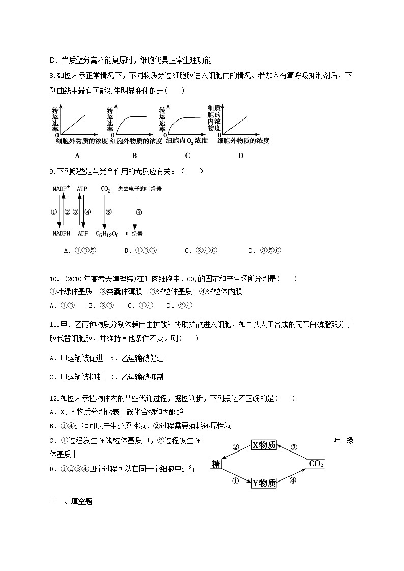 高中生物二轮复习专题练习29：细胞的代谢第3页