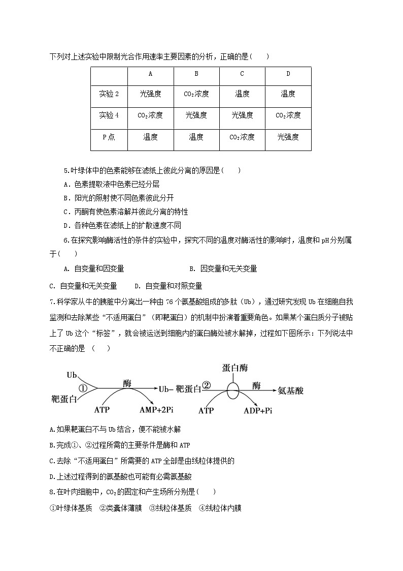 高中生物二轮复习专题练习27：细胞的代谢第3页
