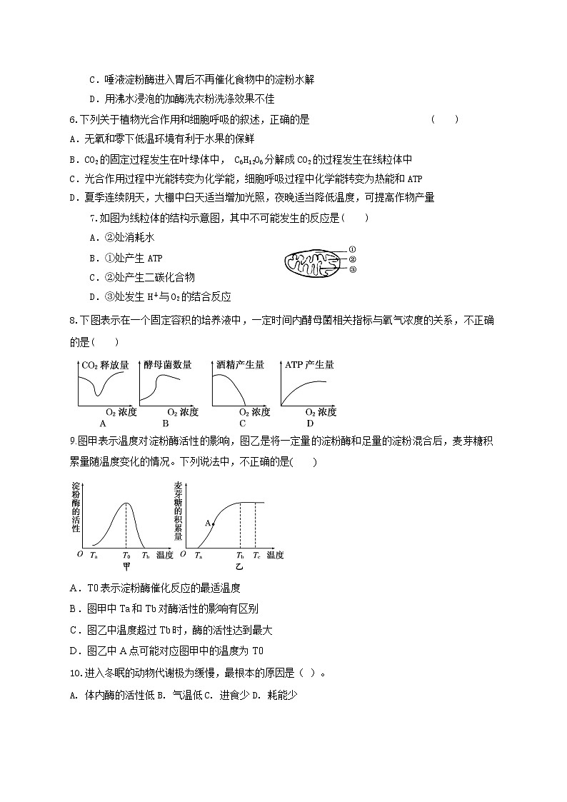 高中生物二轮复习专题练习28：细胞的代谢第2页