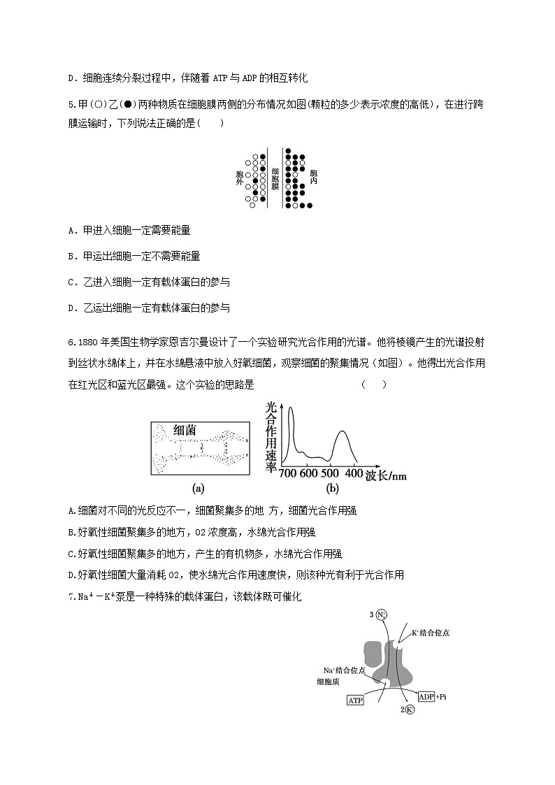 高中生物二轮复习专题练习25：细胞的代谢第2页