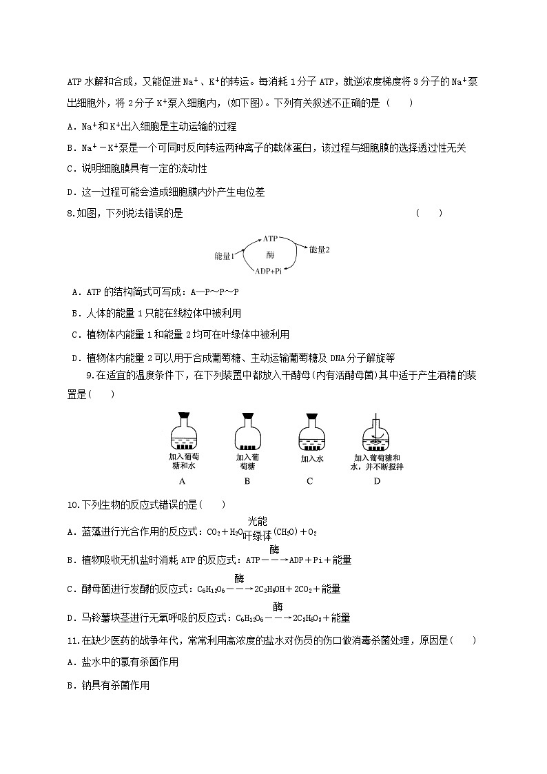 高中生物二轮复习专题练习25：细胞的代谢第3页