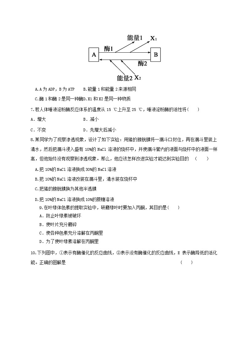 高中生物二轮复习专题练习26：细胞的代谢第3页