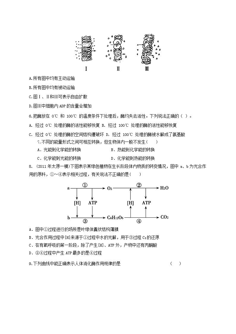 高中生物二轮复习专题练习23：细胞的代谢第2页