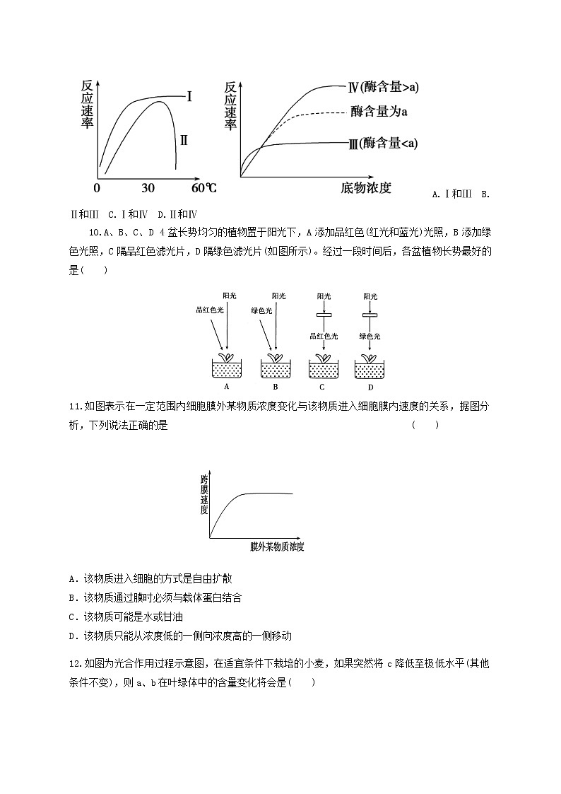 高中生物二轮复习专题练习23：细胞的代谢第3页