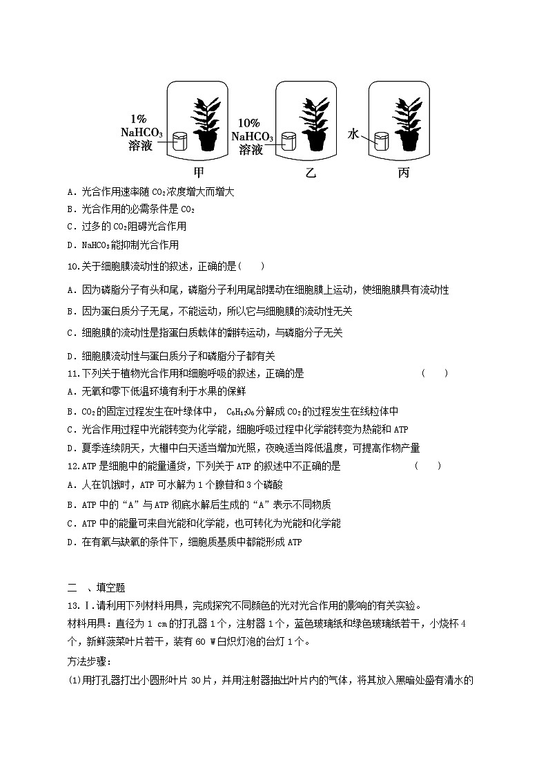 高中生物二轮复习专题练习20：细胞的代谢第3页