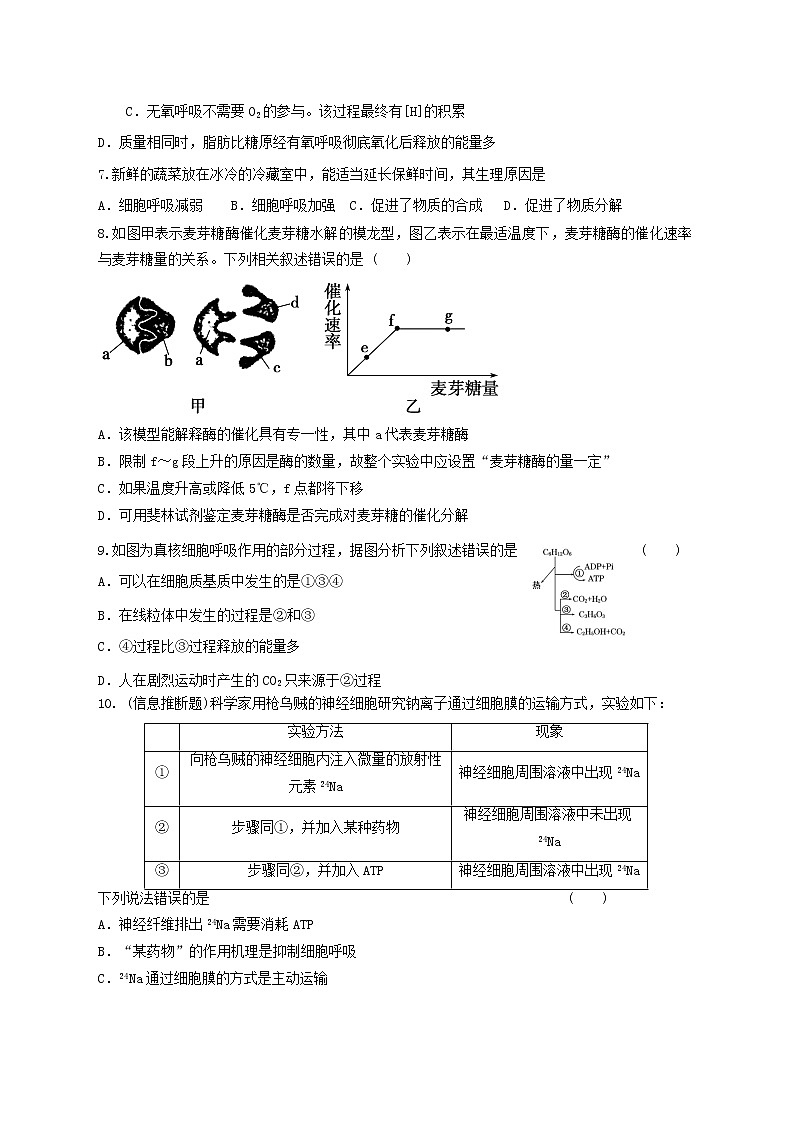 高中生物二轮复习专题练习19：细胞的代谢第2页