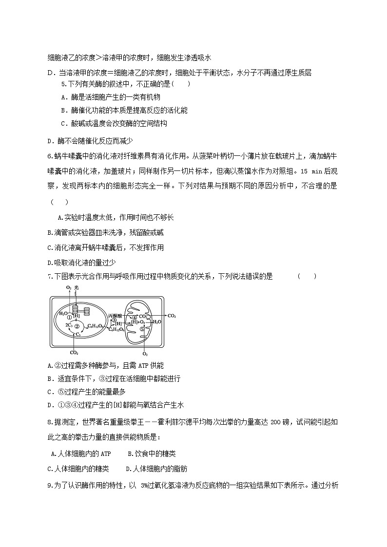高中生物二轮复习专题练习18：细胞的代谢第2页