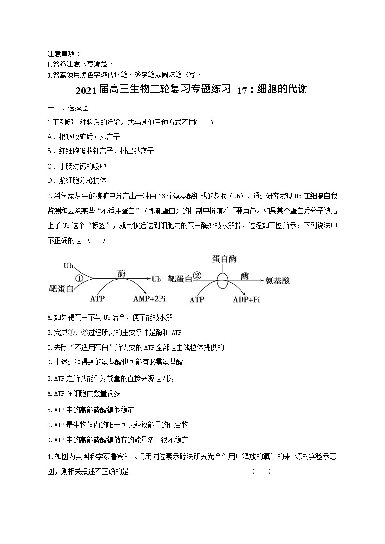 高中生物二轮复习专题练习17：细胞的代谢01