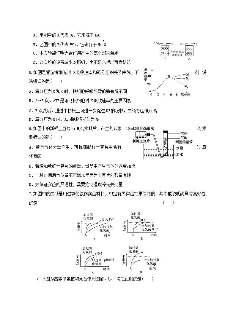 高中生物二轮复习专题练习17：细胞的代谢02