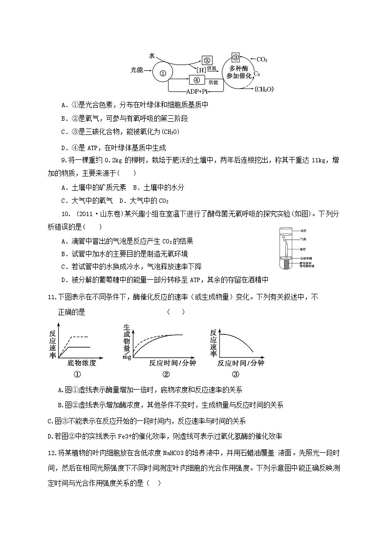 高中生物二轮复习专题练习17：细胞的代谢03