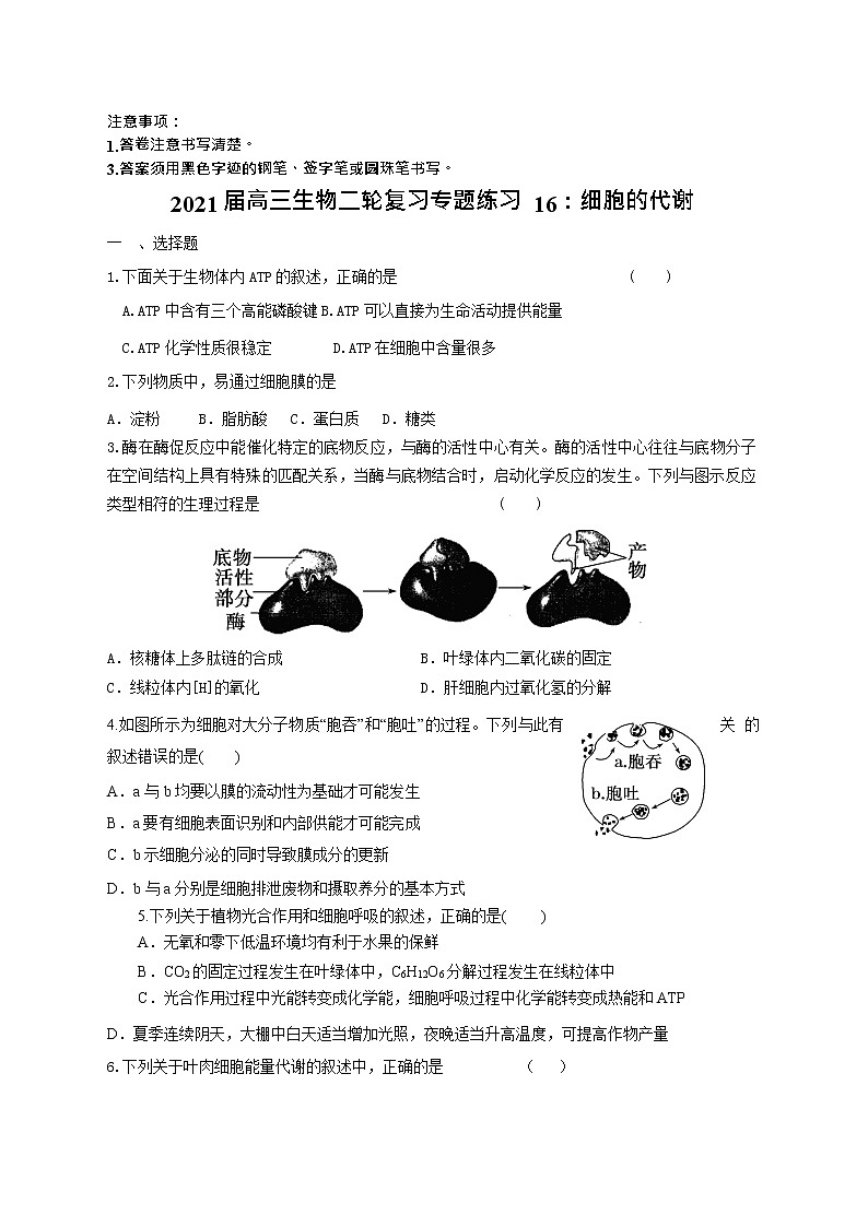 高中生物二轮复习专题练习16：细胞的代谢第1页