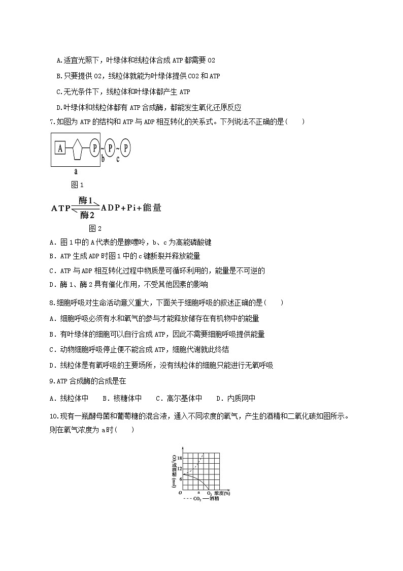 高中生物二轮复习专题练习16：细胞的代谢第2页