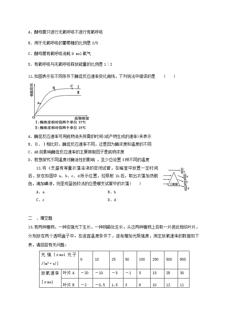 高中生物二轮复习专题练习16：细胞的代谢第3页