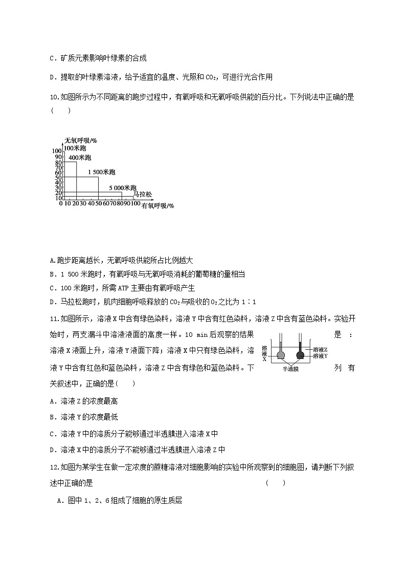 高中生物二轮复习专题练习14：细胞的代谢第3页