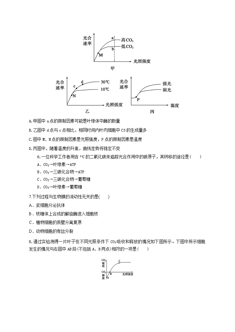 高中生物二轮复习专题练习13：细胞的代谢第2页