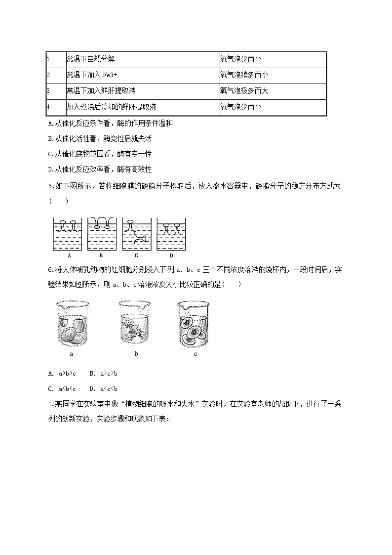 高中生物二轮复习专题练习12：细胞的代谢第2页