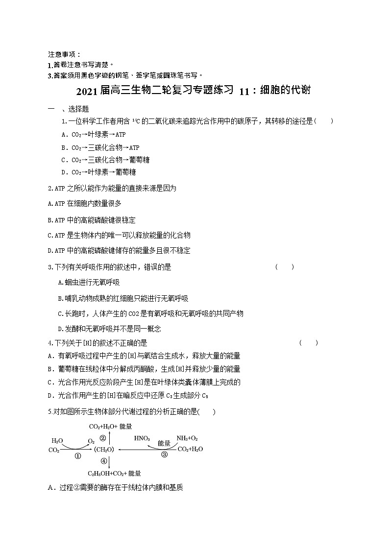 高中生物二轮复习专题练习11：细胞的代谢第1页