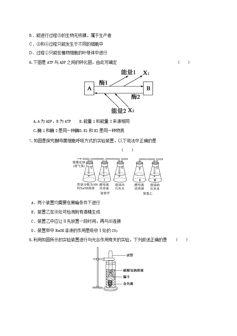 高中生物二轮复习专题练习11：细胞的代谢第2页