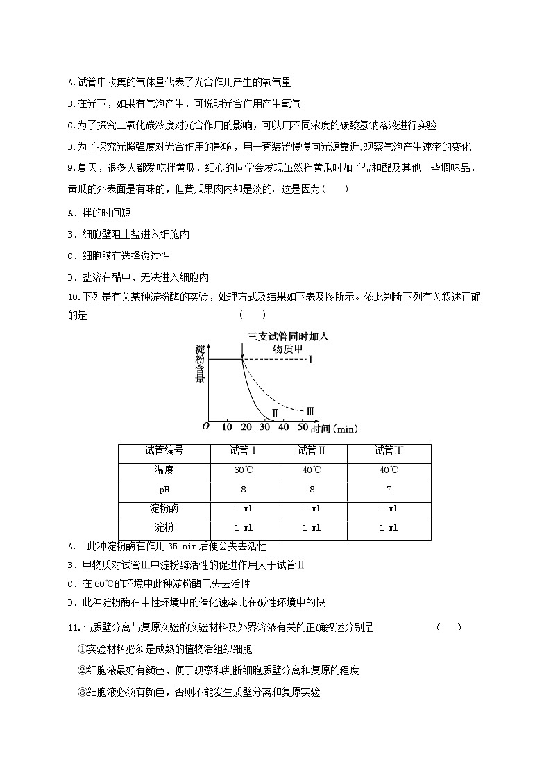 高中生物二轮复习专题练习11：细胞的代谢第3页