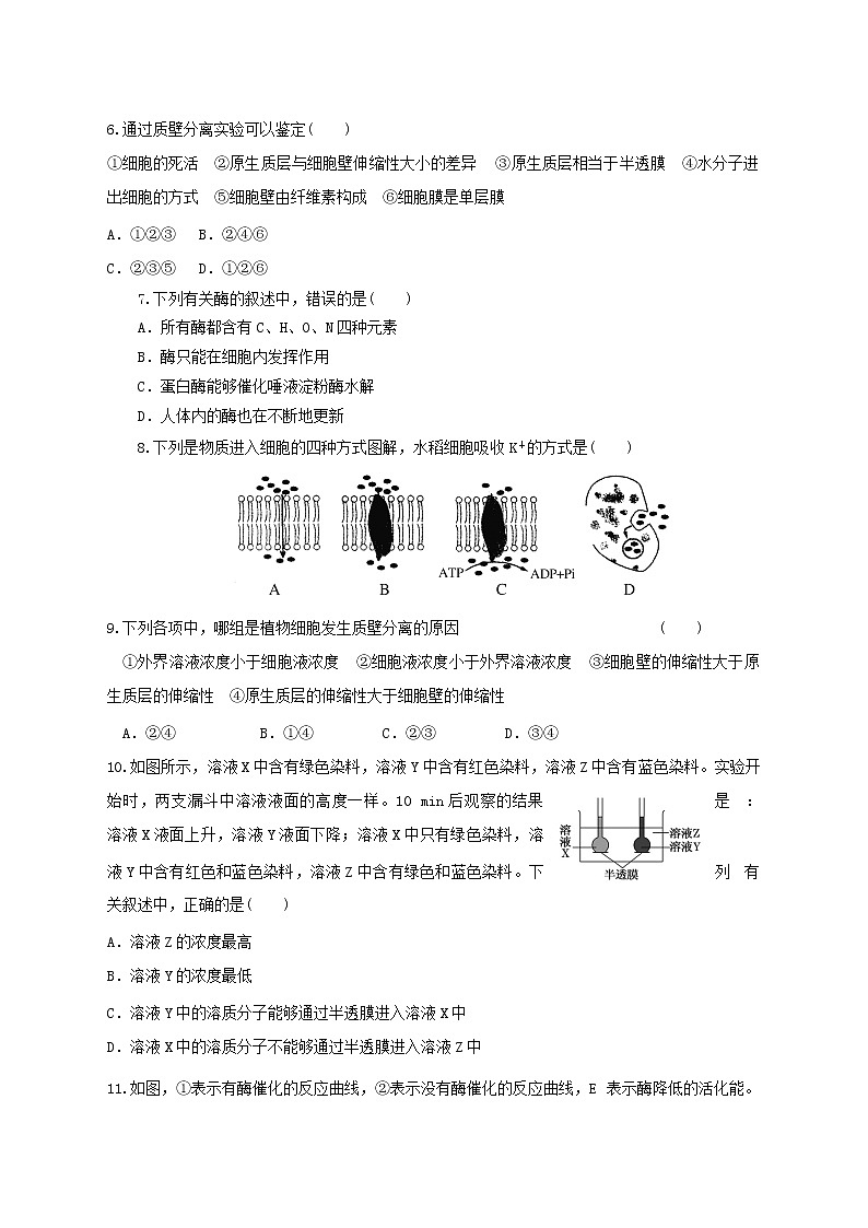 高中生物二轮复习专题练习8：细胞的代谢02