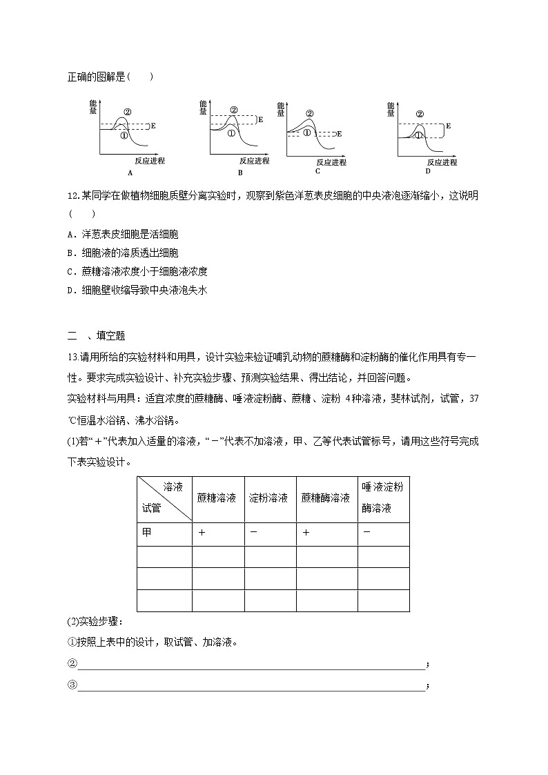 高中生物二轮复习专题练习8：细胞的代谢03