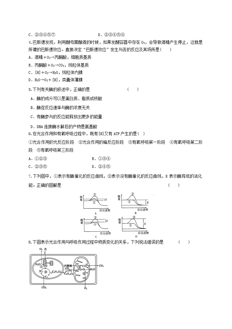 高中生物二轮复习专题练习7：细胞的代谢第2页