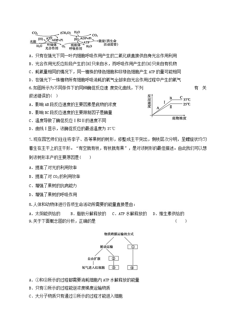 高中生物二轮复习专题练习5：细胞的代谢第2页
