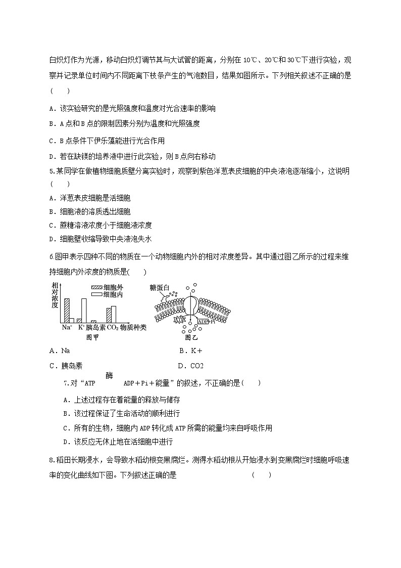 高中生物二轮复习专题练习6：细胞的代谢02