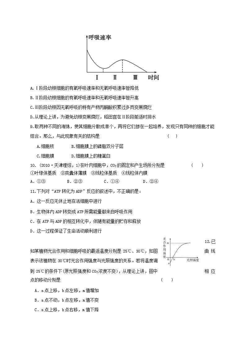 高中生物二轮复习专题练习6：细胞的代谢03
