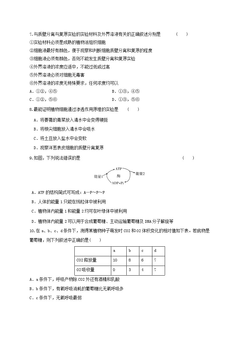 高中生物二轮复习专题练习1：细胞的代谢第3页