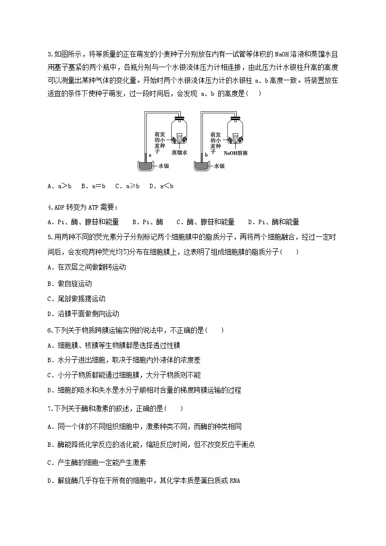 高中生物二轮复习专题练习3：细胞的代谢第2页