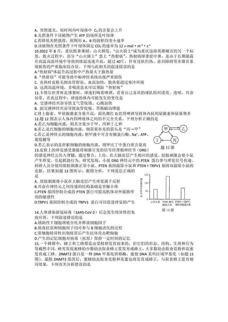 重庆市2023届高三第一次联合诊断检测生物试题第3页