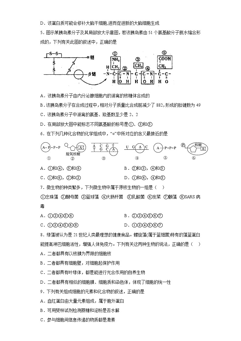 2023陕西省西北工业大学附中高三上学期1月期末生物试题含答案第2页