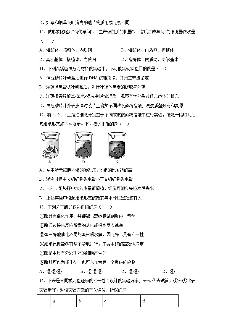 2023陕西省西北工业大学附中高三上学期1月期末生物试题含答案第3页