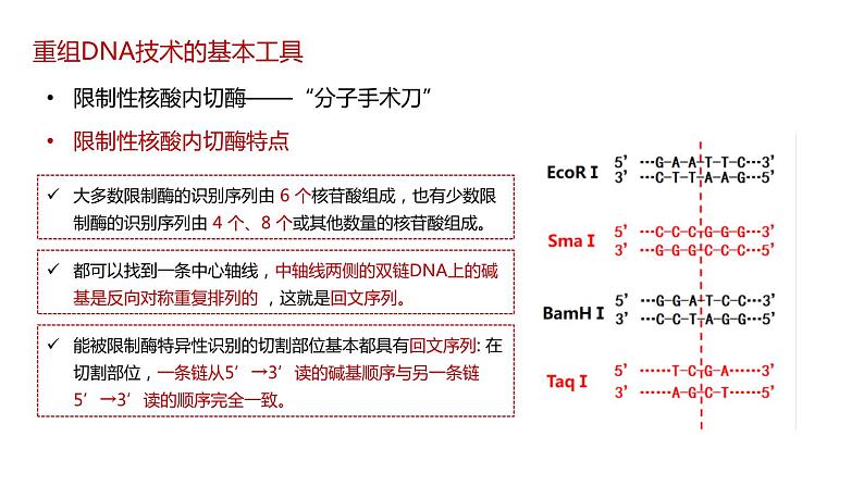 第一节 《重组DNA技术的基本工具》课件PPT+教案07