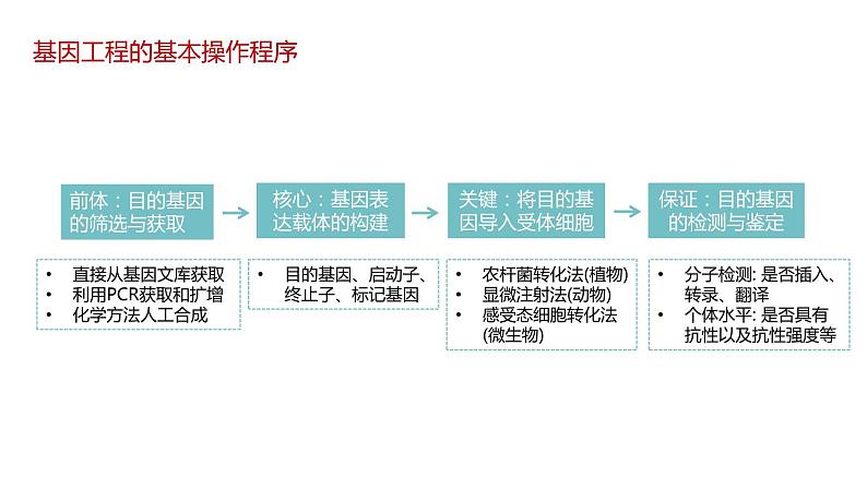 第二节 基因工程的基本操作程序课时2课件第2页