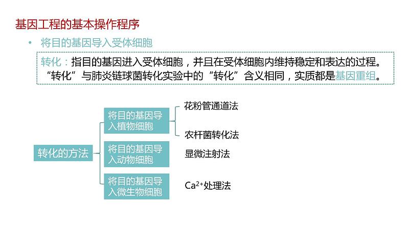 第二节 基因工程的基本操作程序课时2课件第3页