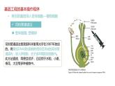 第二节 《基因工程的基本操作程序》课时2课件+教案