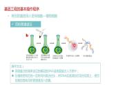 第二节 《基因工程的基本操作程序》课时2课件PPT+教案