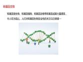 第一节 转基因产品的安全性课件PPT+教案